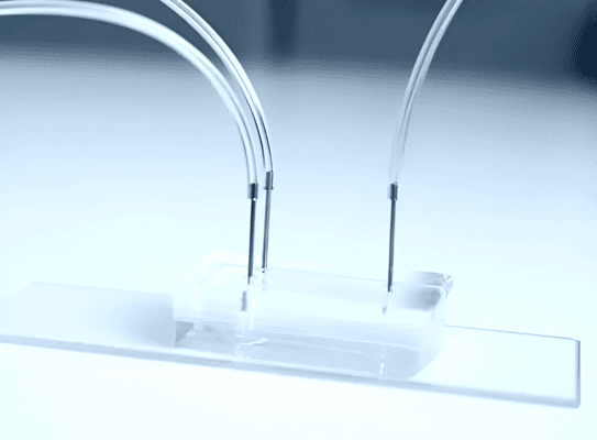 PDMS Microfluidic Chip